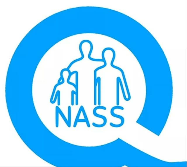 Logo NASS
